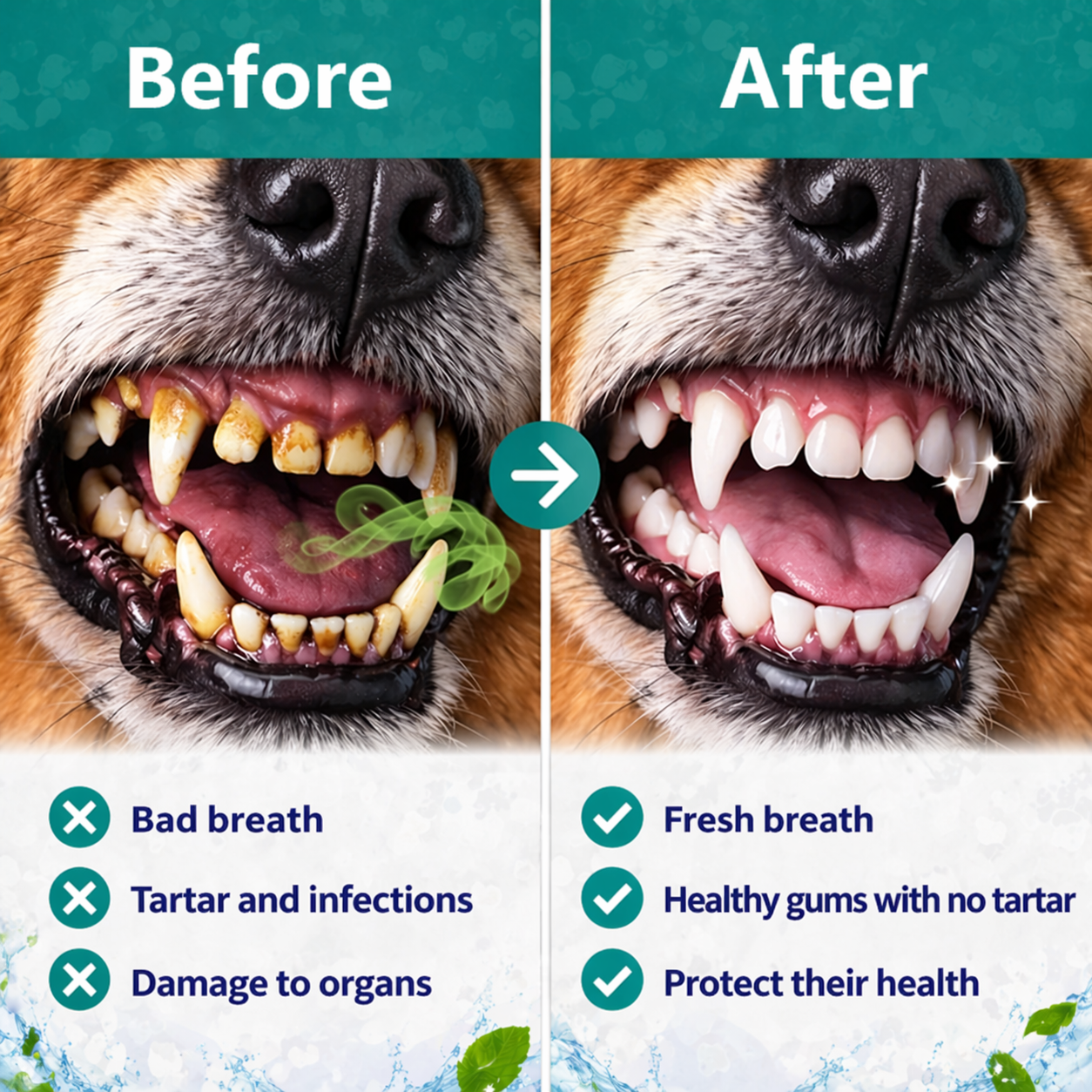 TAILORA™ 🍃 Instant Fresh Breath Spray — No Brushing for Dogs & Cats